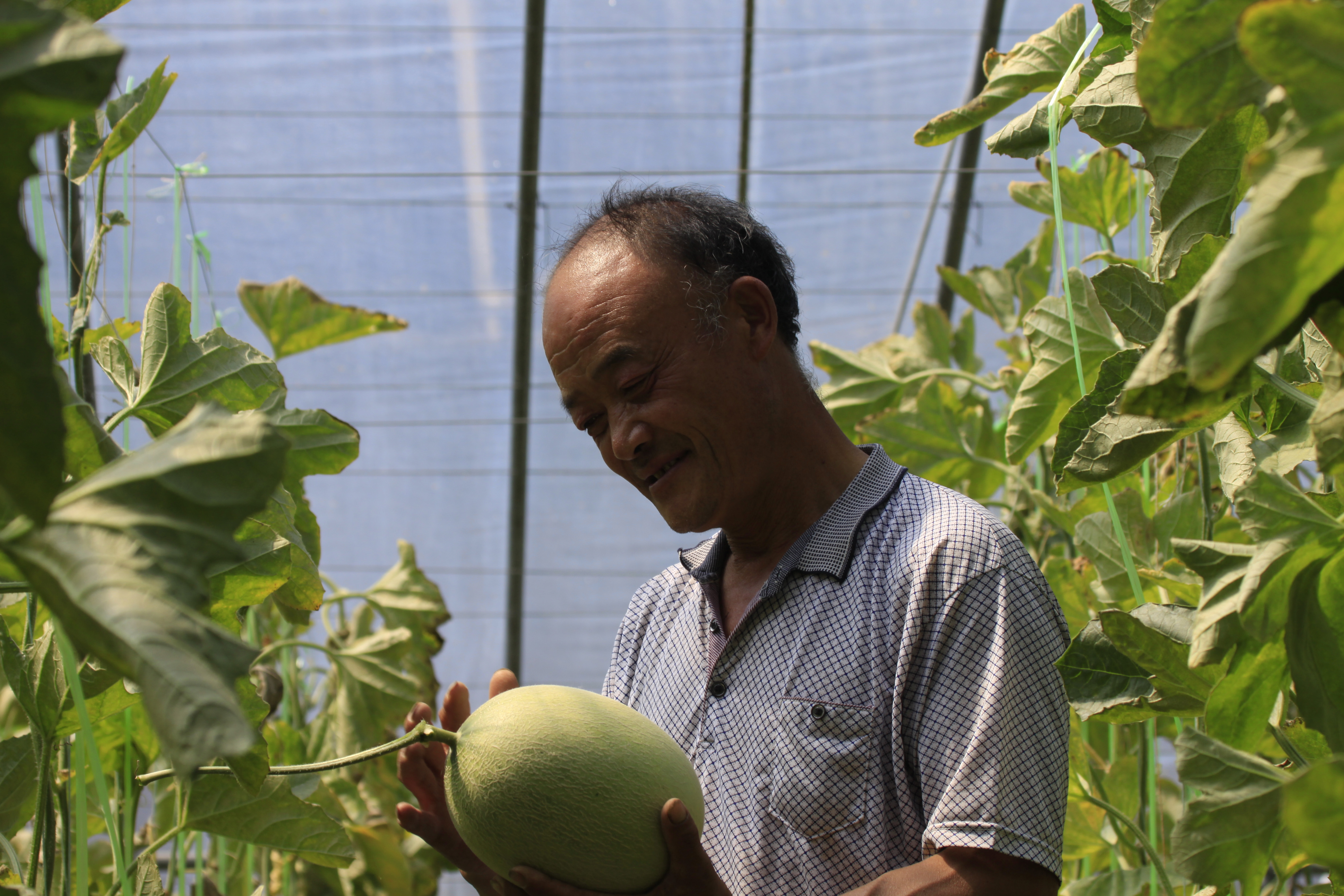 省派枣庄市山东艺术学院"四进"工作组马兰家齐益多多生态农业园纪实