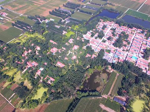 4、图中左边为树木掩映下加固的老民居，右边为迁建后的新民居  董希文摄_副本.jpg